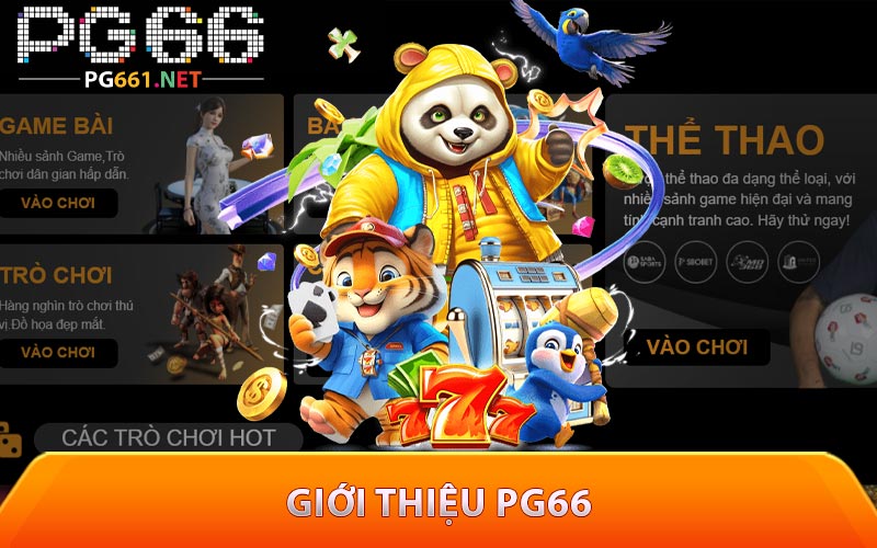 Giới thiệu PG66