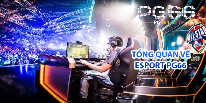 Giới thiệu tổng quan về Esport PG66