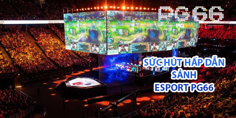 Sức hút hấp dẫn sảnh Esport PG66