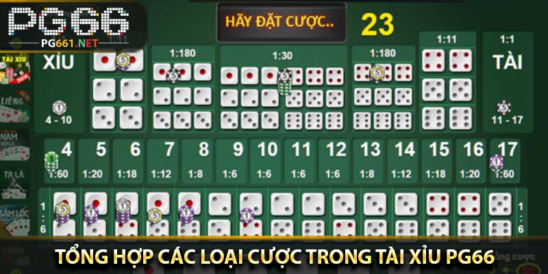 Tổng hợp các loại cược trong tài xỉu PG66